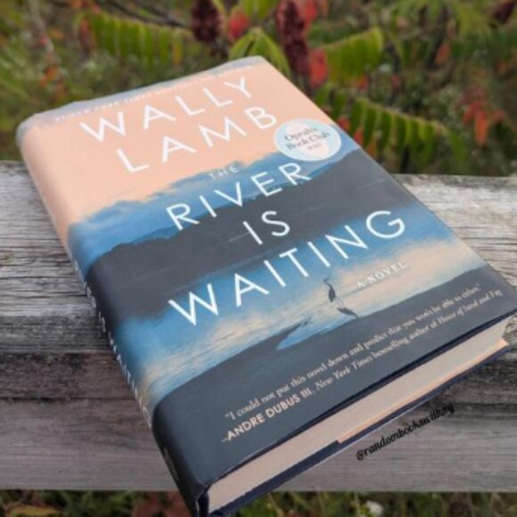 The River is Waiting Book by Author Wally Lamb, great condition. Best Seller - Picture 2 of 2